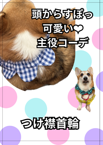 出店イメージ2