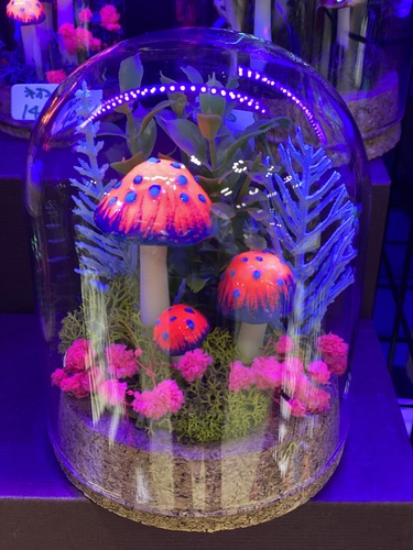 出店イメージ2