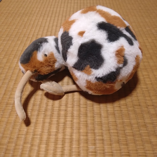 出店イメージ5