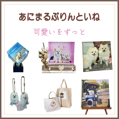 出店イメージ1